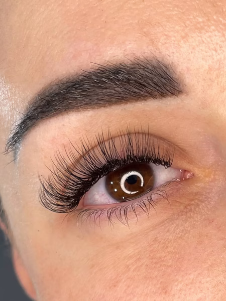 Classic Style Lashes